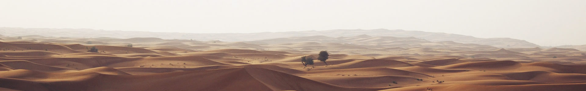 㽭˼ܻƼ޹˾